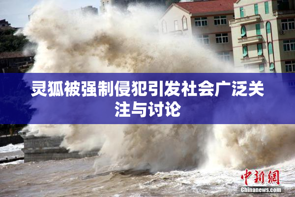 灵狐被强制侵犯引发社会广泛关注与讨论