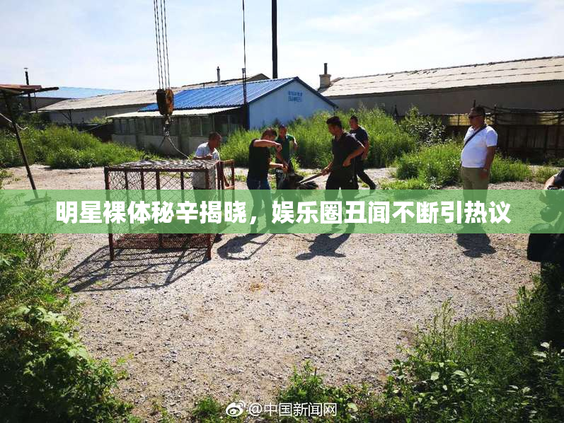 明星裸体秘辛揭晓，娱乐圈丑闻不断引热议