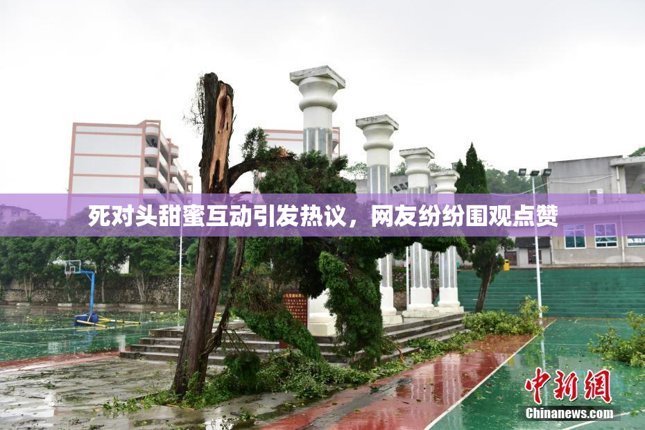 死对头甜蜜互动引发热议，网友纷纷围观点赞