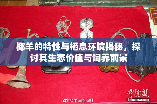 椰羊的特性与栖息环境揭秘，探讨其生态价值与饲养前景