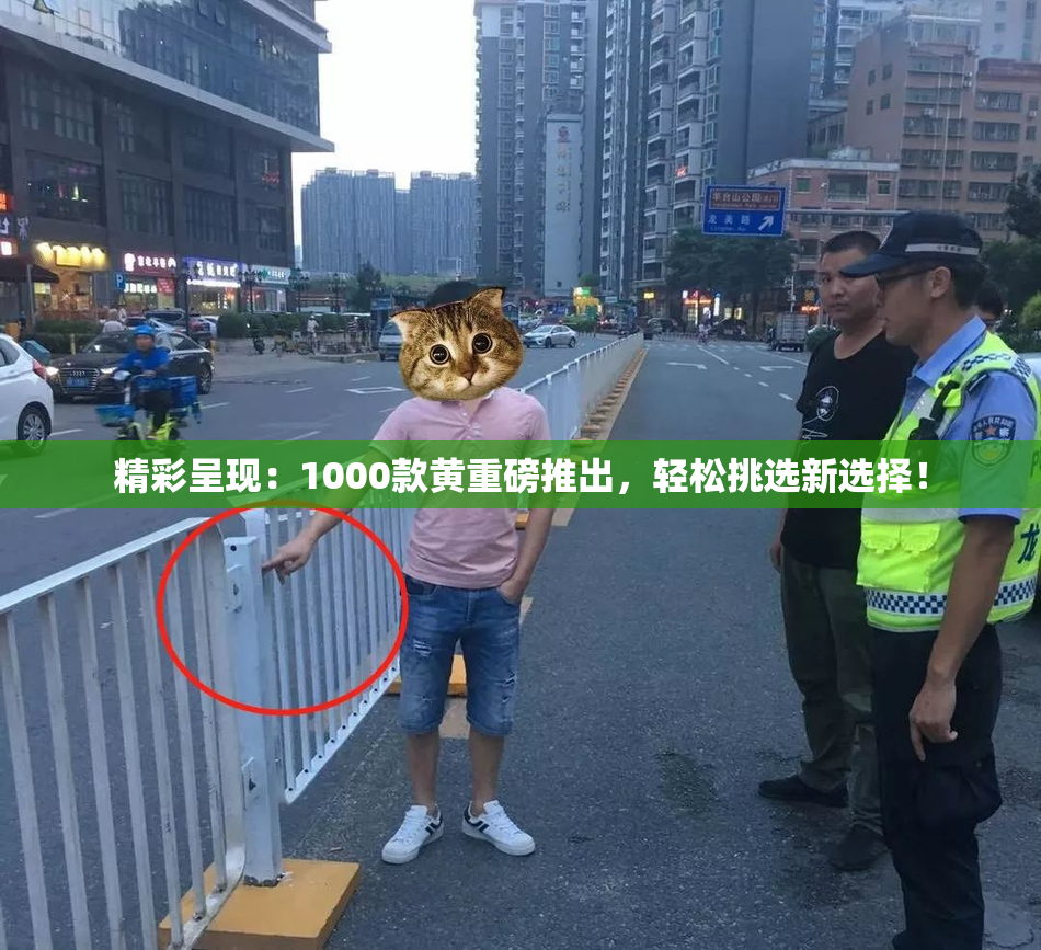 精彩呈现：1000款黄重磅推出，轻松挑选新选择！