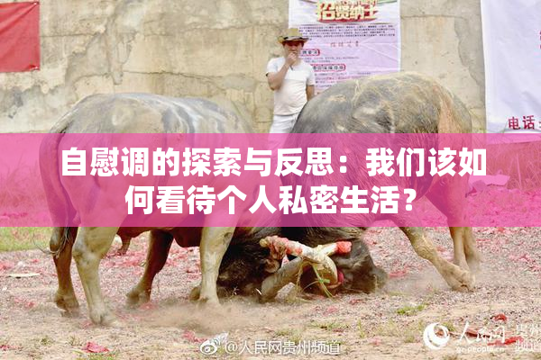 自慰调的探索与反思：我们该如何看待个人私密生活？