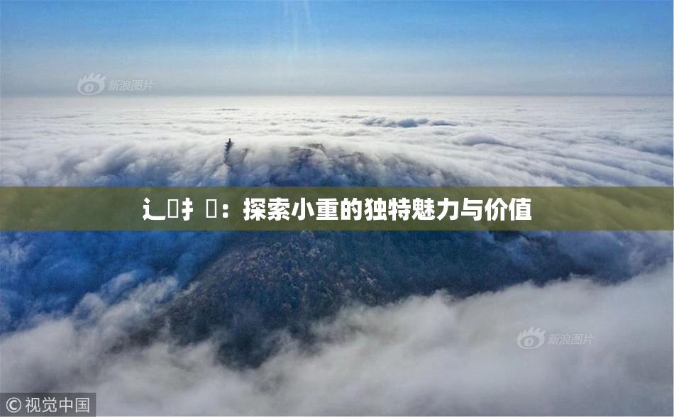辶喿扌畐：探索小重的独特魅力与价值