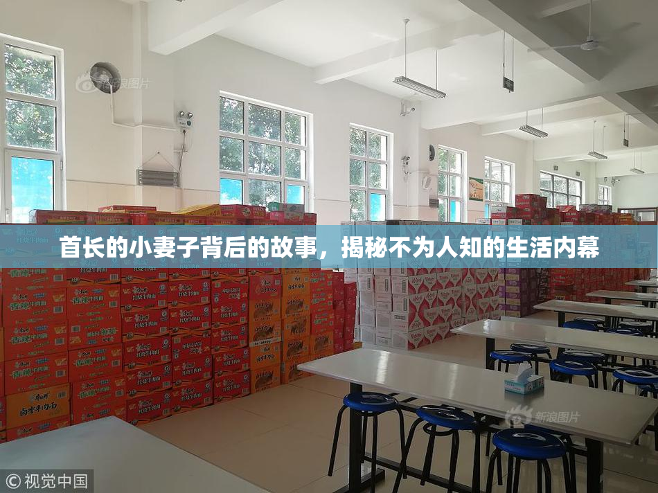 首长的小妻子背后的故事，揭秘不为人知的生活内幕