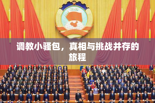 调教小骚包，真相与挑战并存的旅程