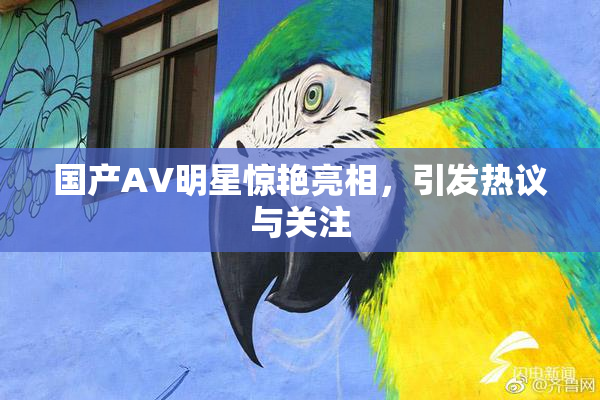 国产AV明星惊艳亮相，引发热议与关注