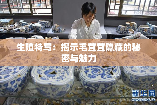 生殖特写：揭示毛茸茸隐藏的秘密与魅力