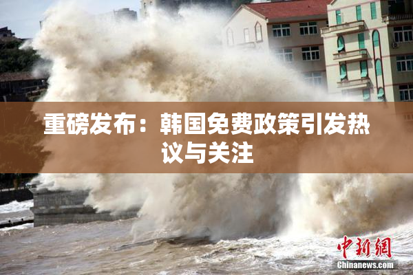 重磅发布：韩国免费政策引发热议与关注