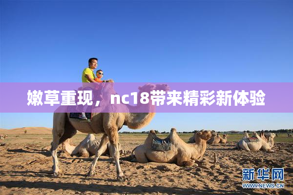 嫩草重现，nc18带来精彩新体验