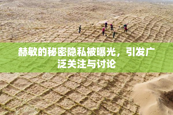 赫敏的秘密隐私被曝光，引发广泛关注与讨论
