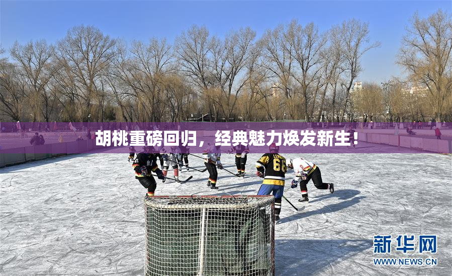 胡桃重磅回归，经典魅力焕发新生！
