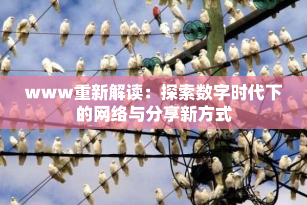 www重新解读：探索数字时代下的网络与分享新方式
