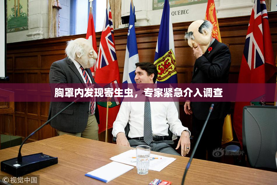 胸罩内发现寄生虫，专家紧急介入调查