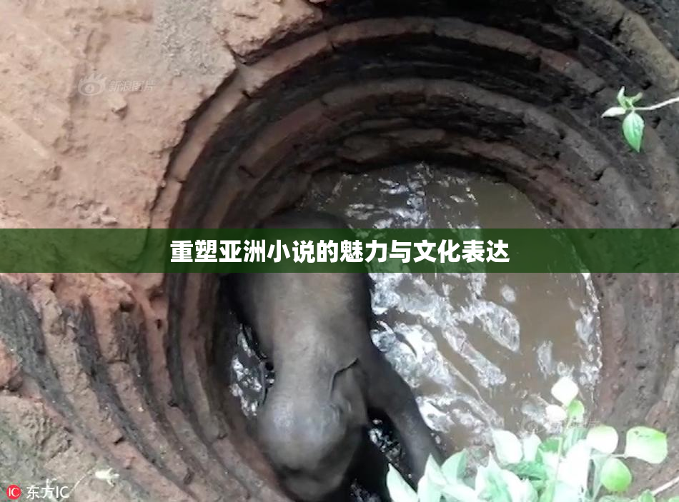 重塑亚洲小说的魅力与文化表达