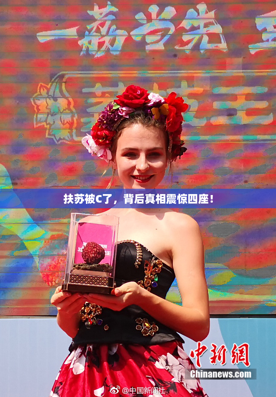 扶苏被C了，背后真相震惊四座！
