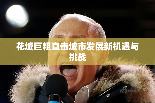 花城巨粗直击城市发展新机遇与挑战