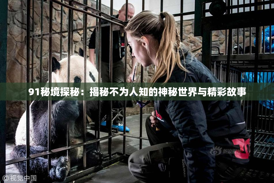 91秘境探秘：揭秘不为人知的神秘世界与精彩故事