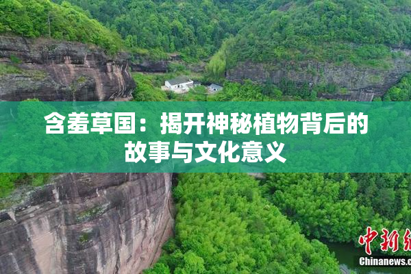 含羞草国：揭开神秘植物背后的故事与文化意义