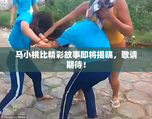 马小桃比精彩故事即将揭晓，敬请期待！
