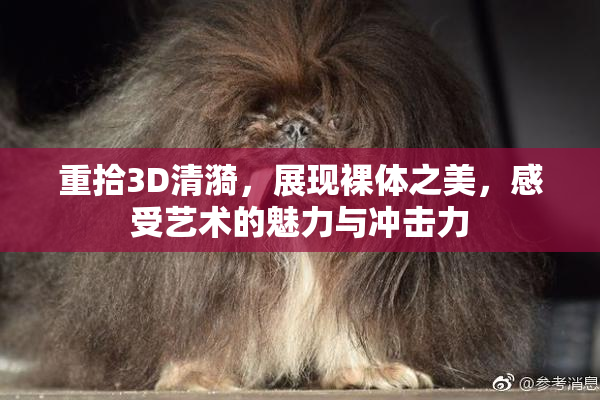 重拾3D清漪，展现裸体之美，感受艺术的魅力与冲击力