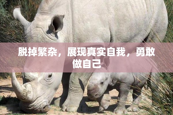脱掉繁杂，展现真实自我，勇敢做自己