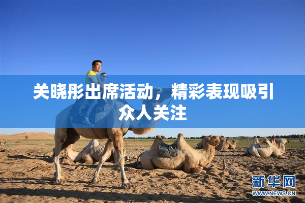 关晓彤出席活动，精彩表现吸引众人关注
