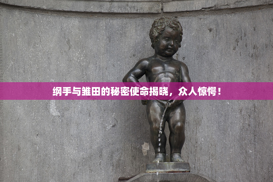 纲手与雏田的秘密使命揭晓，众人惊愕！