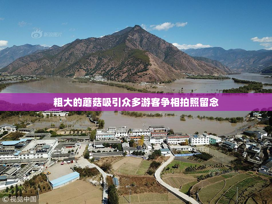 粗大的蘑菇吸引众多游客争相拍照留念