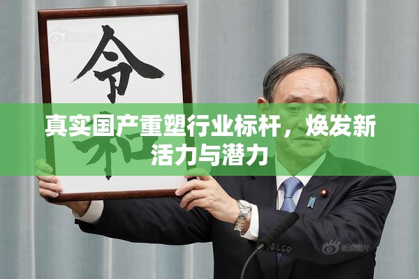 真实国产重塑行业标杆，焕发新活力与潜力