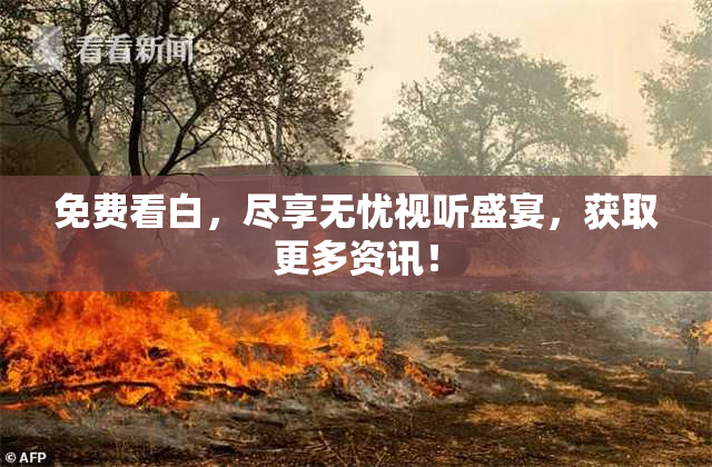 免费看白，尽享无忧视听盛宴，获取更多资讯！