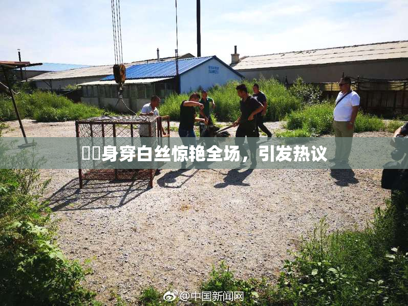妺妺身穿白丝惊艳全场，引发热议