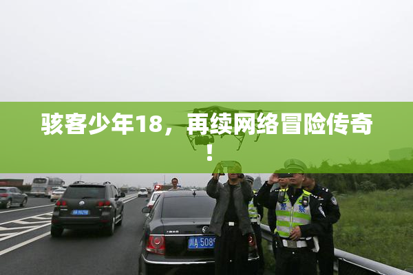 骇客少年18，再续网络冒险传奇！