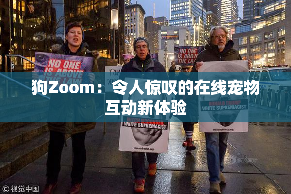 狗Zoom：令人惊叹的在线宠物互动新体验