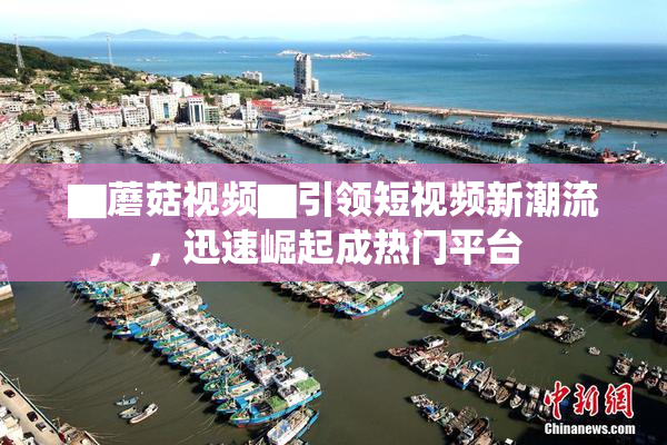 ▇蘑菇视频▇引领短视频新潮流，迅速崛起成热门平台