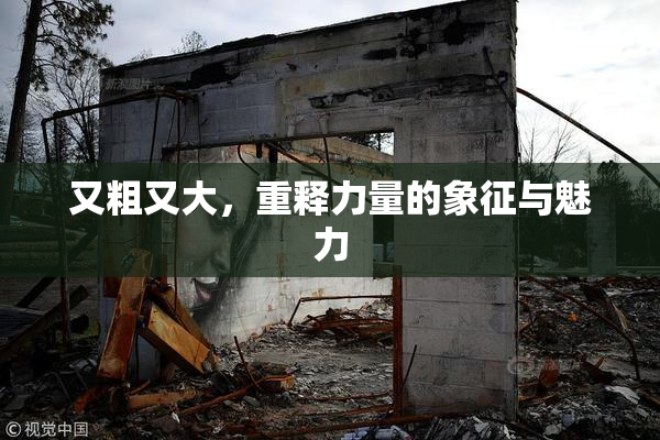 又粗又大，重释力量的象征与魅力