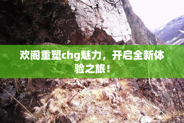 欢阁重塑chg魅力，开启全新体验之旅！