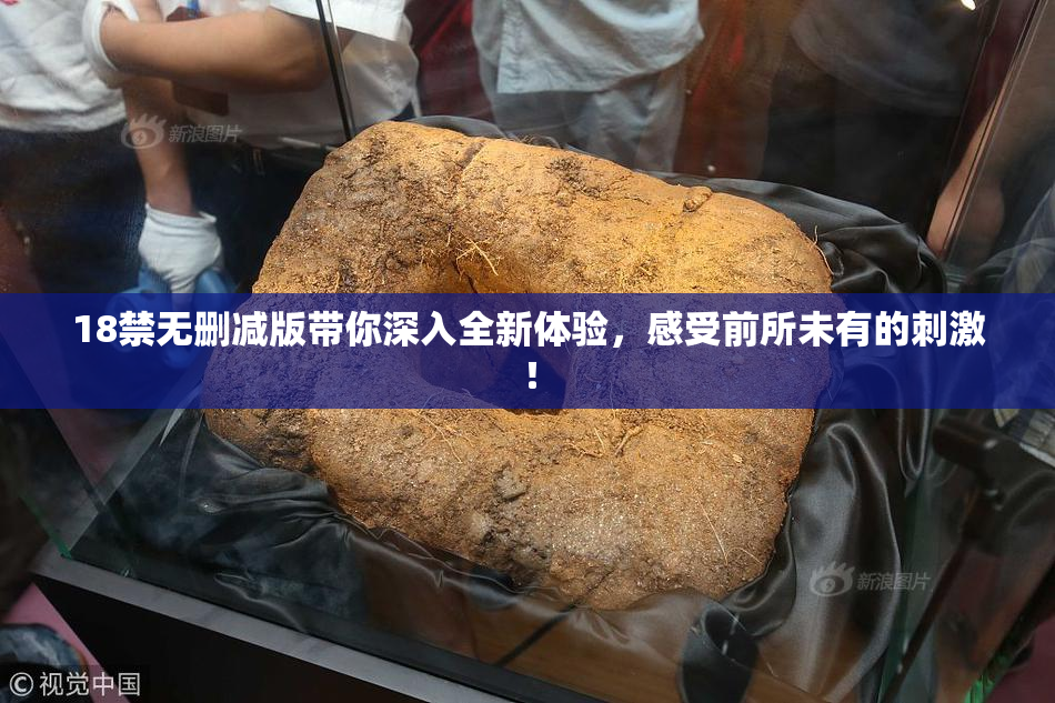 18禁无删减版带你深入全新体验，感受前所未有的刺激！