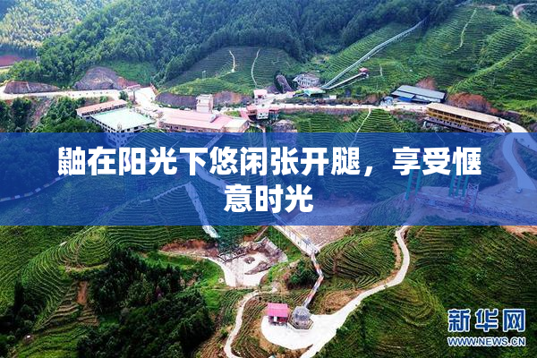 鼬在阳光下悠闲张开腿，享受惬意时光