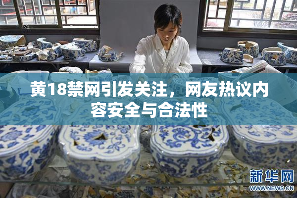 黄18禁网引发关注，网友热议内容安全与合法性