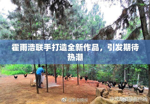 霍雨浩联手打造全新作品，引发期待热潮