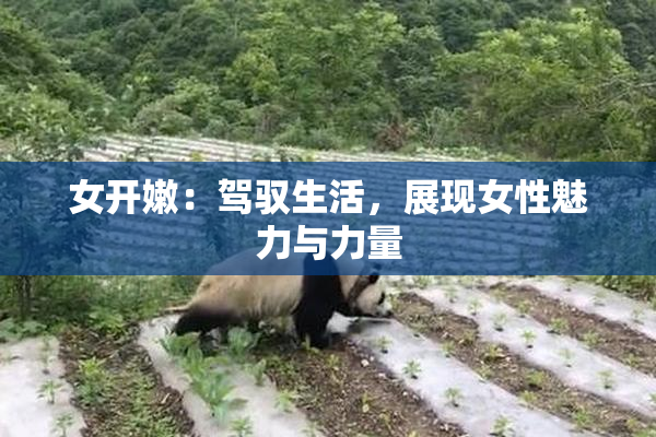 女开嫩：驾驭生活，展现女性魅力与力量