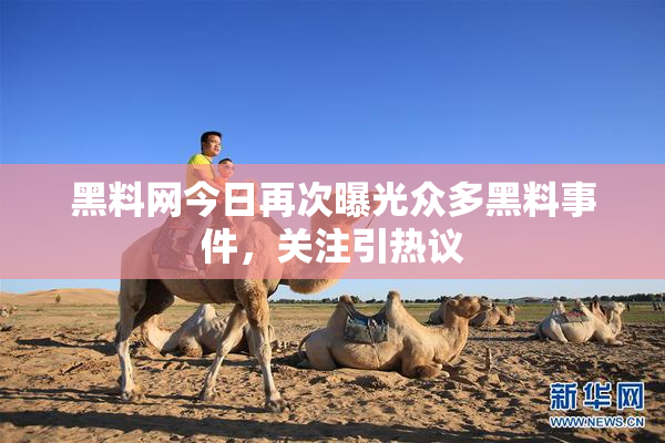 黑料网今日再次曝光众多黑料事件，关注引热议