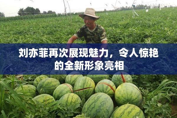 刘亦菲再次展现魅力，令人惊艳的全新形象亮相