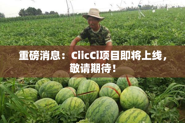 重磅消息：CiicCi项目即将上线，敬请期待！