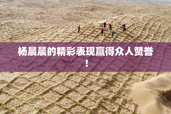 杨晨晨的精彩表现赢得众人赞誉！