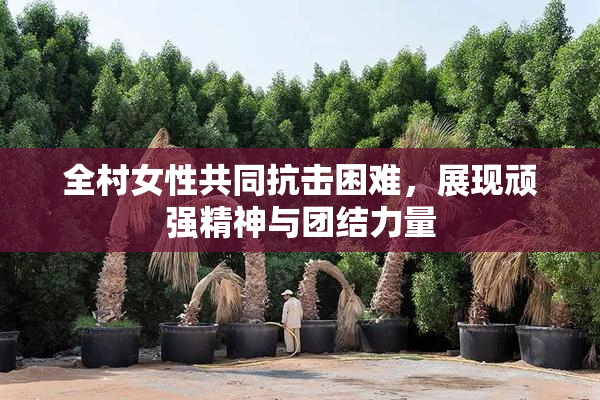 全村女性共同抗击困难，展现顽强精神与团结力量