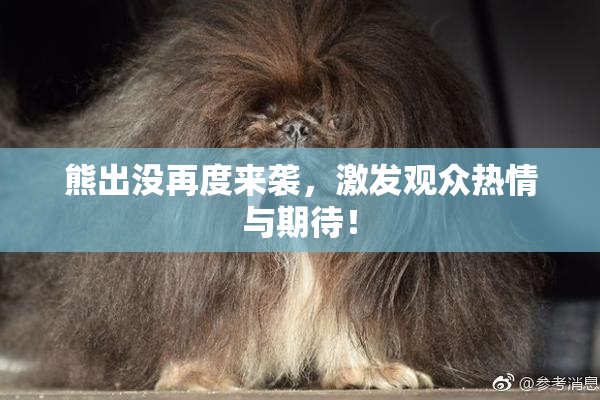 熊出没再度来袭，激发观众热情与期待！