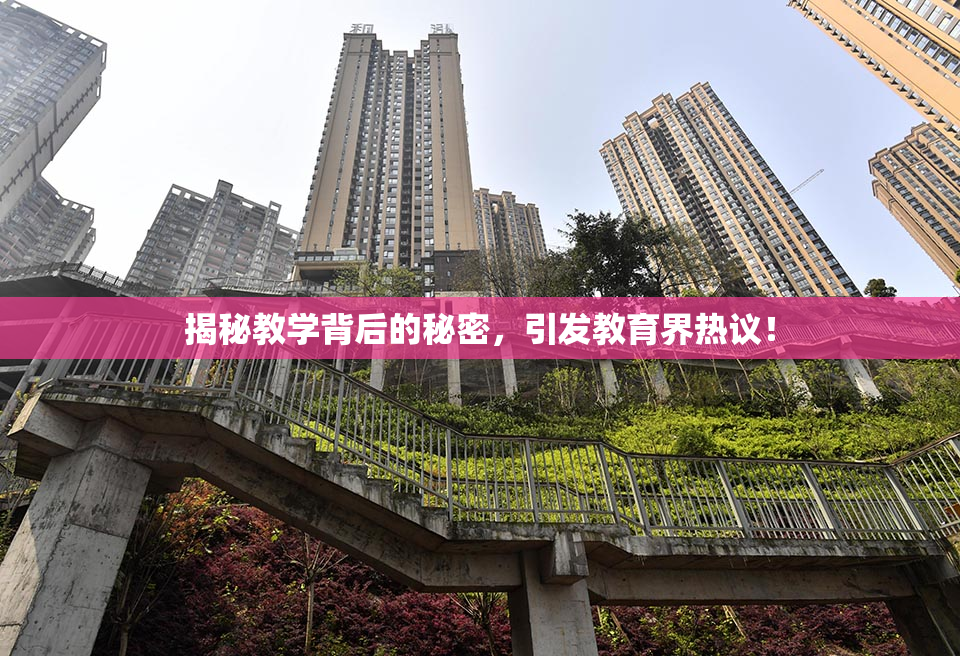 揭秘教学背后的秘密，引发教育界热议！