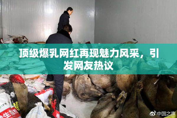 顶级爆乳网红再现魅力风采，引发网友热议