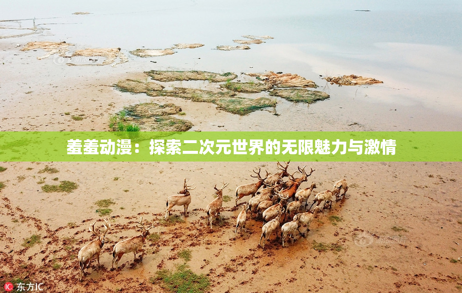 羞羞动漫：探索二次元世界的无限魅力与激情